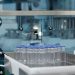 FDA panel gives nod to Novavax COVID-19 shot