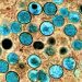Black and Hispanic people bearing brunt of monkeypox cases: analysis