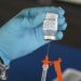 Omicron boosters better at preventing COVID infection than previous shots: CDC