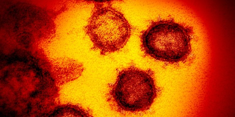 COVID origin report reignites firestorm over ‘lab leak’ theory