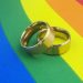 Children of same-sex parents see outcomes as good or better than heterosexual couples: study