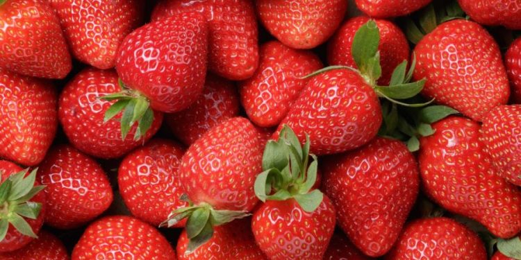 Strawberry products sold in 32 states recalled over Hepatitis A risks