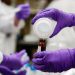 ‘Forever chemicals’ are everywhere; experts worry public awareness is low