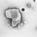 FDA approves first RSV vaccine to prevent infections in infants