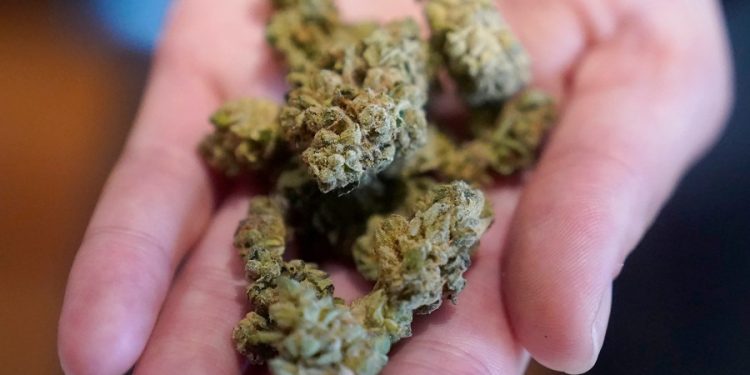 One-fifth of cannabis users struggle with dependency or problematic use: research