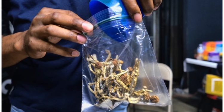 California lawmakers approve psychedelics decriminalization bill