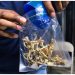 California lawmakers approve psychedelics decriminalization bill