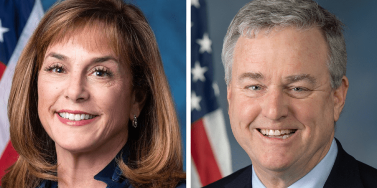 Money and mental health: experts, lawmakers say lack of funding is limiting access