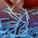 White House plans next year’s RSV immunization campaign following shortages