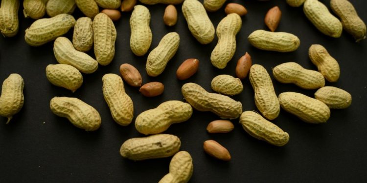 New treatment for food allergies in kids moves closer to finish line