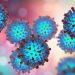 Measles outbreaks a wake-up call for the unvaccinated