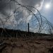 Watchdog report finds failures in US vetting of adults to take in unaccompanied migrant kids