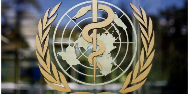 Global cancer cases expected to increase 77 percent by 2050: WHO report