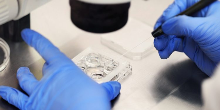 Democrats press GOP on IVF after Alabama ruling