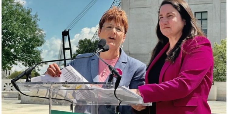 Idaho Democratic leader: ‘stomach is queasy’ after Supreme Court abortion case