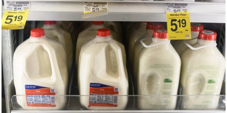 Bird flu virus traces found in 1 in 5 samples of pasteurized milk: FDA