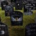 Drug overdose deaths top 100K, but dropped for first time in five years
