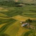Pesticides as big a cancer risk as smoking, study finds