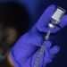 WHO authorizes mpox vaccine, which should ease global access