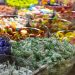 Restricting sugar in children helps prevent diabetes later in life: Study