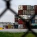 How Trump’s tariffs could impact the pharmaceutical market