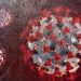 Vaccine skeptic to lead CDC COVID immunization working group
