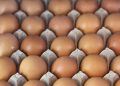Egg recall expands over salmonella concerns