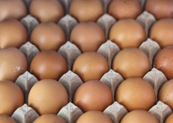 Egg recall expands over salmonella concerns